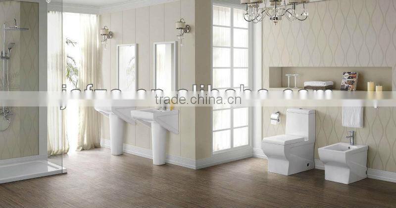 3624 Modern square hanging flush toilet