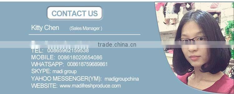 Heart shape lucky bamboo