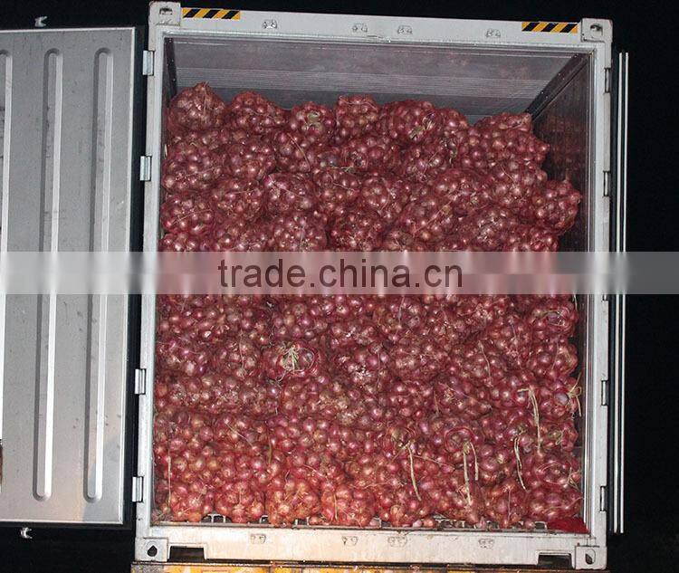 China onion at good price of per ton