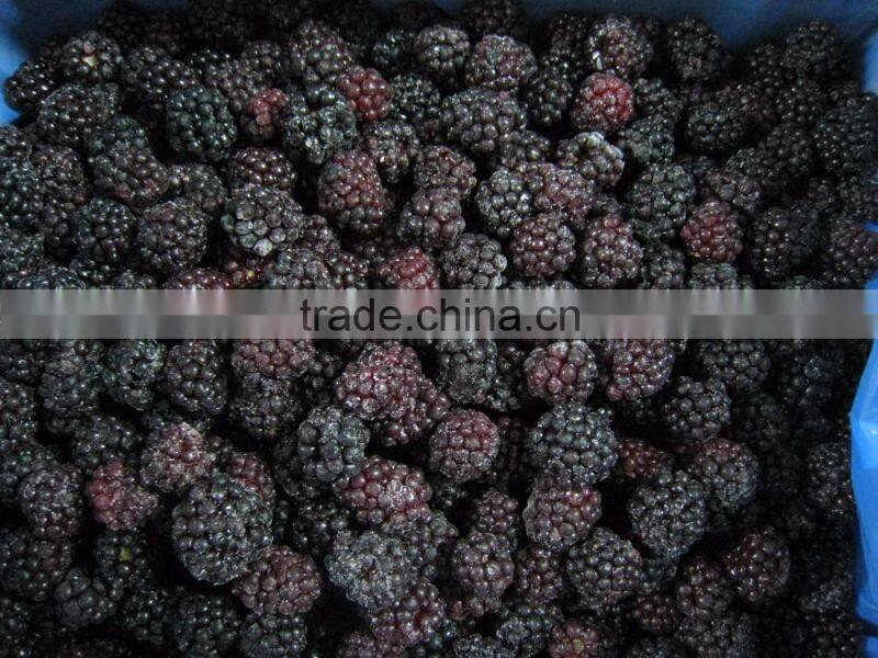 2016 Crop IQF Frozen Blackberry From China