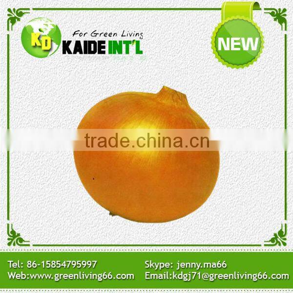 Popular Equipment Fresh Big Onion