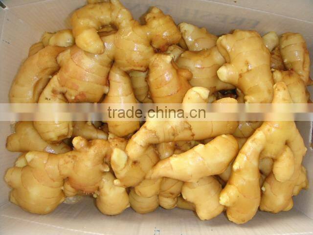 air-dried ginger