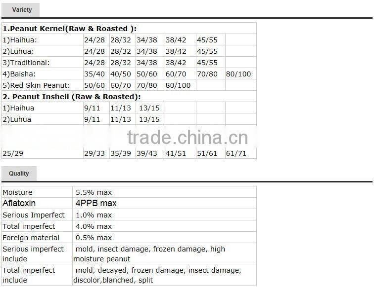 25/29 41/51 blanched peanut kernel/peanuts red skin/blanched peanuts kernels