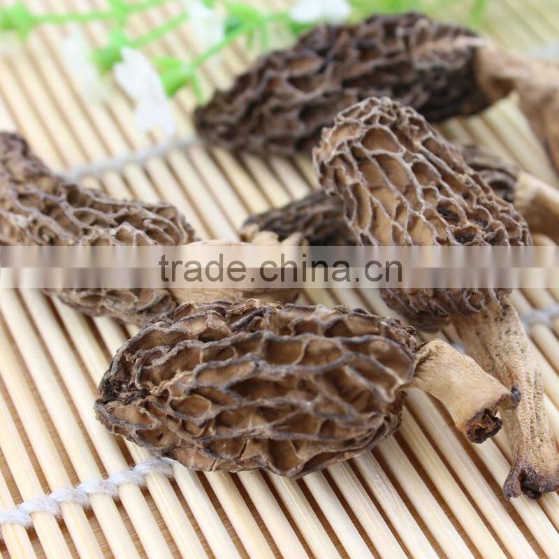 Wholesale Price Rare Edible Dried Morchella esculenta Morel Mushroom