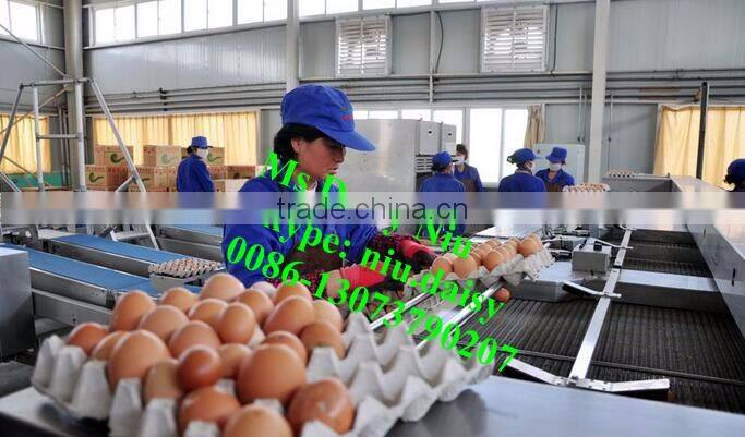 automatic egg weighing grading machine/egg grading packing machine/egg grader for packing