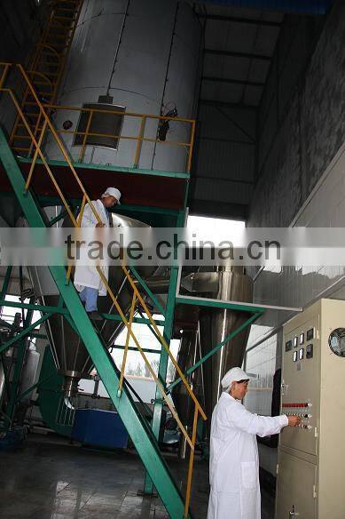 Marine Collagen Powder