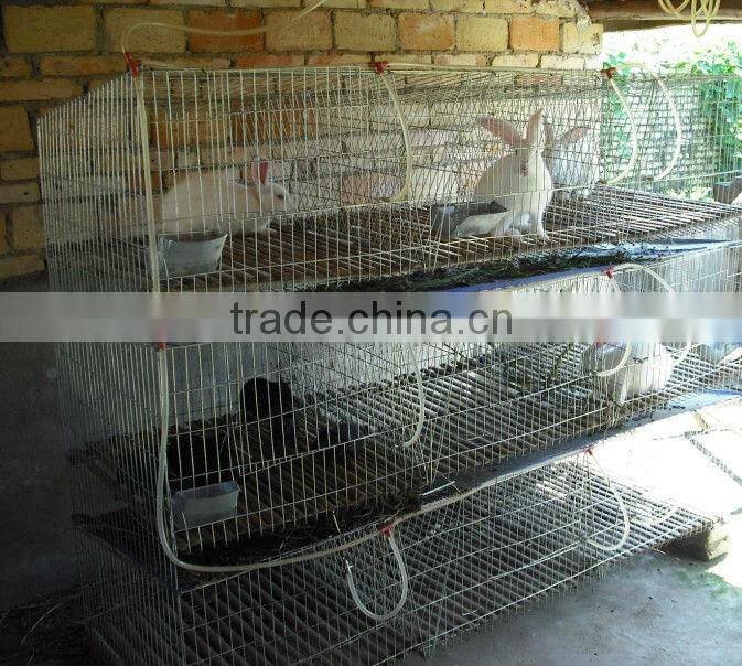 battery cage rabbit