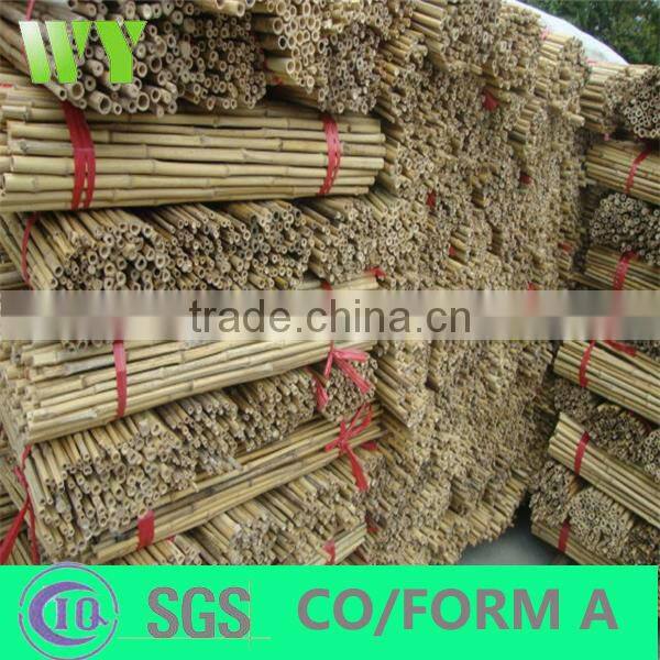 WY- 084 Wolesale Farming Bamboo Poles with high quality