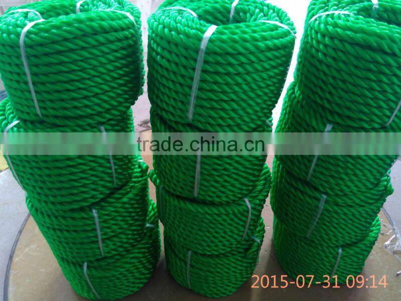 6mm Twisted Cord/Rope Manufacturer from Taian, China
