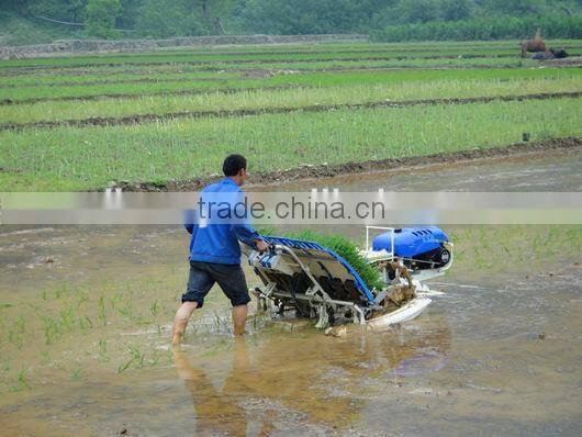 4 rows rice transplanter