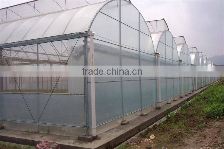 Galvanized Tube Structure Multi-Span Greenhouse Used for Growing Plantings