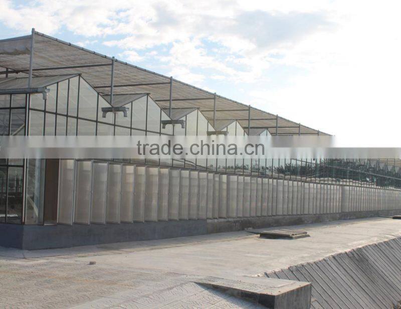 glass greenhouse in china solar hydroponics greenhouse greenhouse growing medium