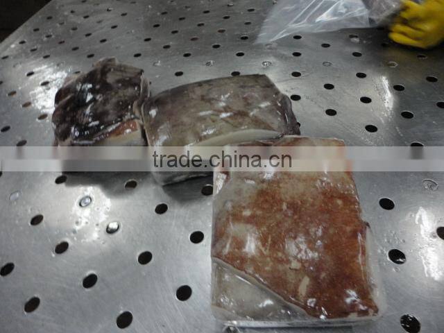 frozen peru giant squid wing