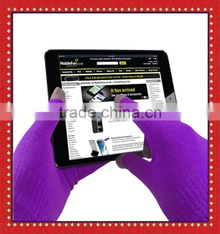 Promotion Winter Warm Smartphone Gloves/ Texting Touch Gloves/iPhone Gloves