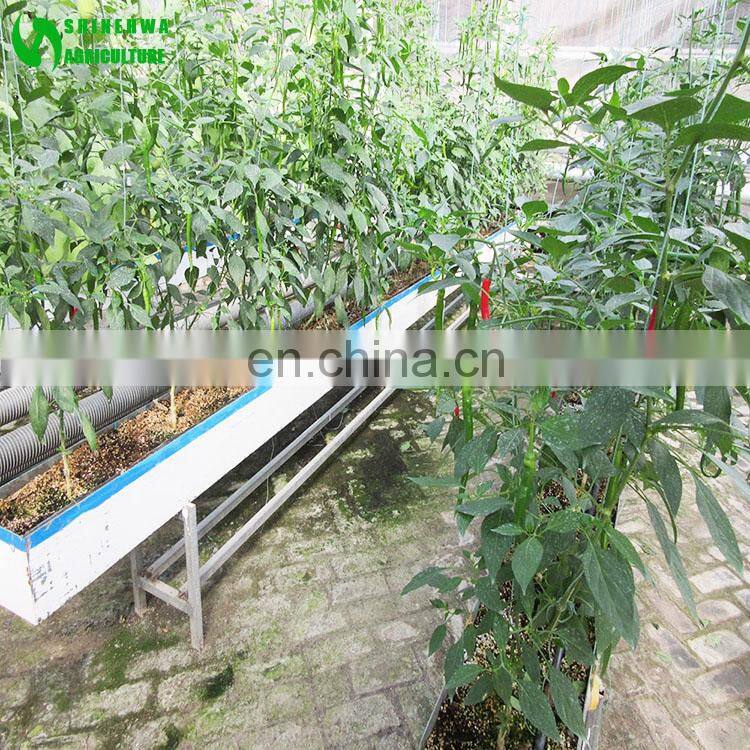 Eggplant Hydroponics and Coconut Cultivation Equipment/Hydroponics Growing Systems