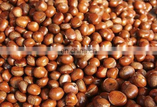 Automatic Electric Chestnut Cashew Garlic Peeling Machine