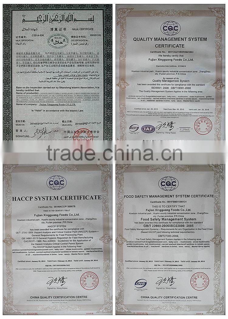 China's Famous canned waxberry