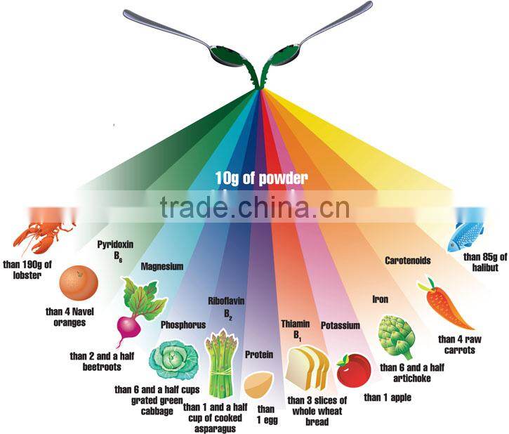 herbal spirulina powder for body fitness