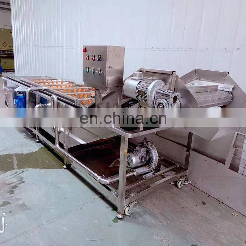 air bubble fruit cleaning machine price