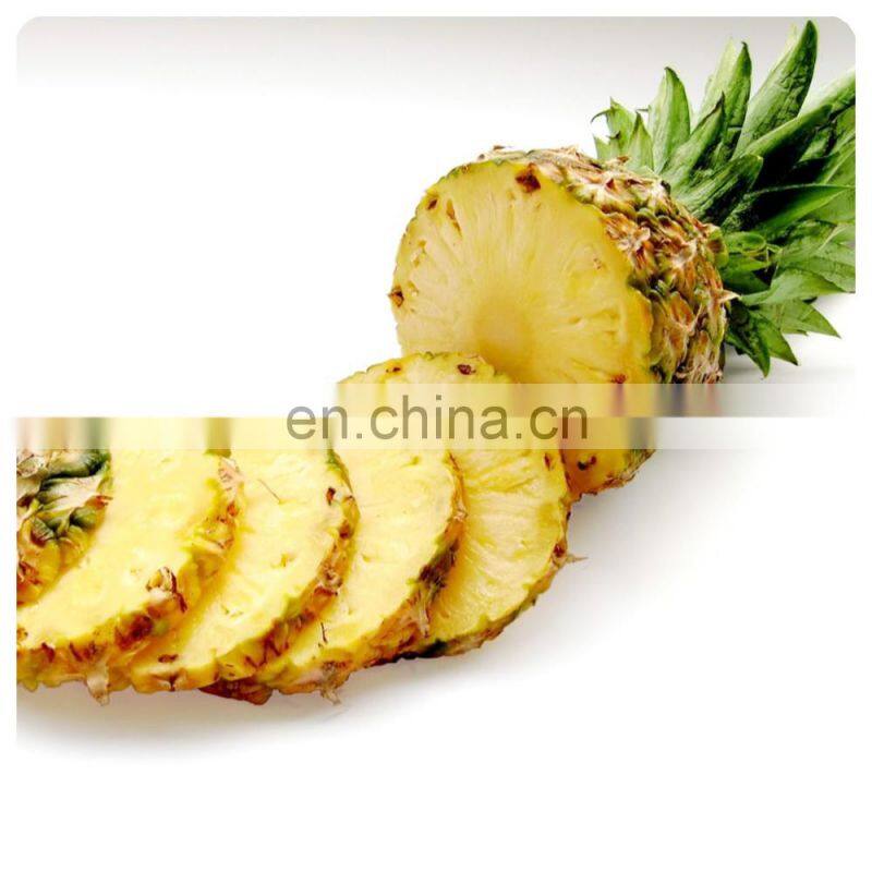 Vietnam Premium Canned Fruit Original Flavor SYRUP Canned Pineapple For Dessert Snack Baking Application