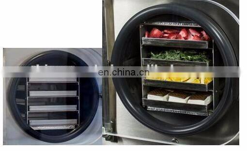 Home mini fruit vacuum freeze drying machine