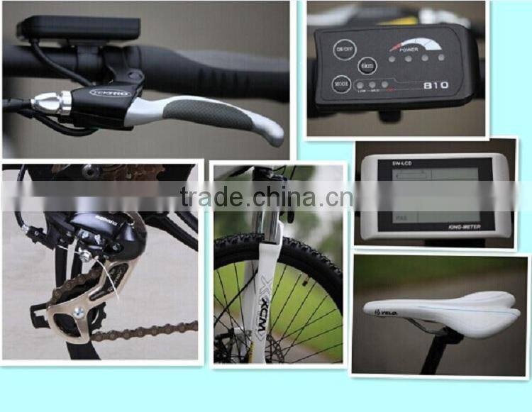 2015 Fujiang FJ-TDE01 adult electric bike 8fun 500w motor