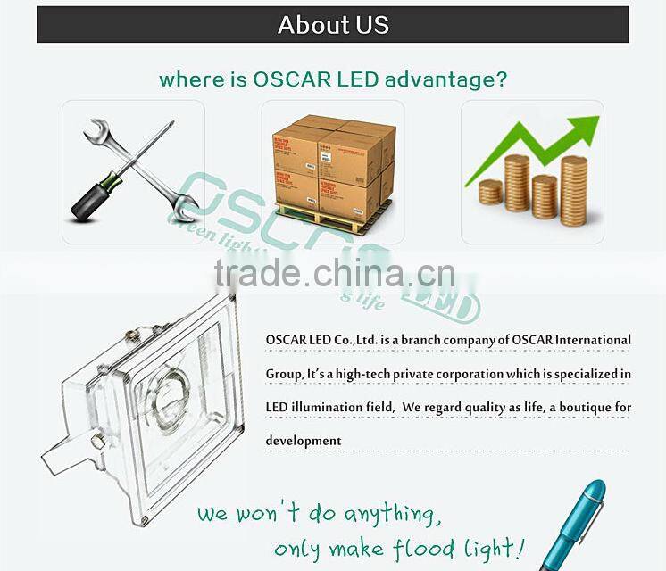 IP66 50w IR motion detector LED flood light motion sensor COB LED flood light with CE ROHS