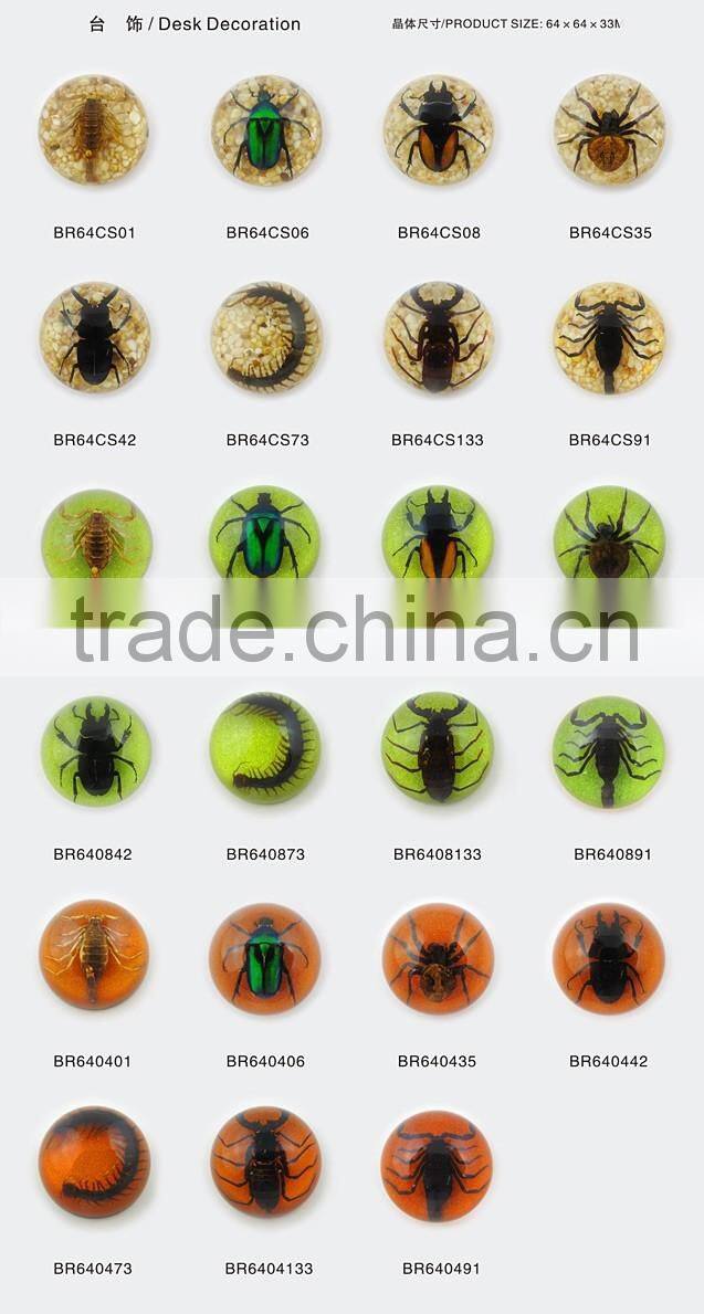 2016 new latest design novel wholesale funny paperweight