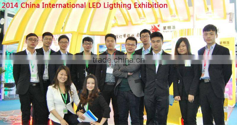 chinese factories supplier LED ribbon and solar led lights for car