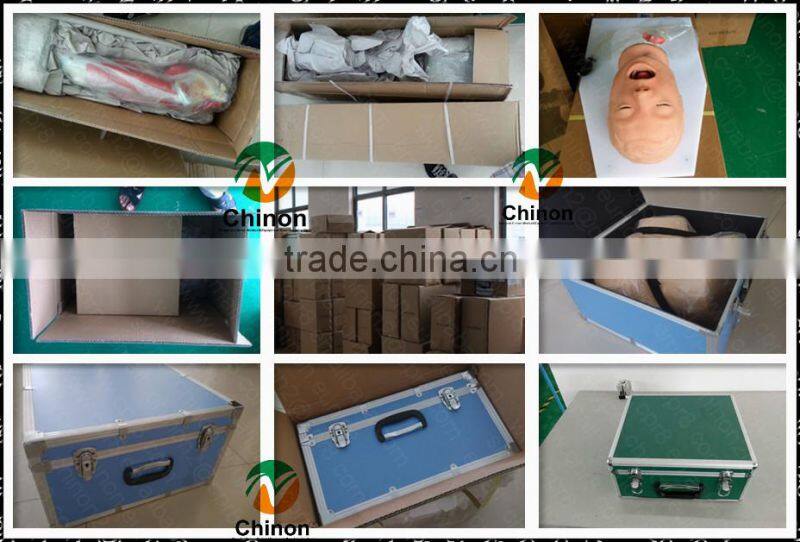 17cm ChineseTroditional Massage Foot Model