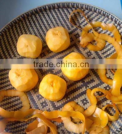 Discount Price Automatic persimmon Peeling Machine, Kiwi Fruit Skinner, Apple Peeler