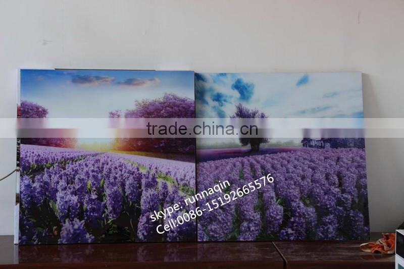 Home wall decorative collage glass hanging frameless picture frame