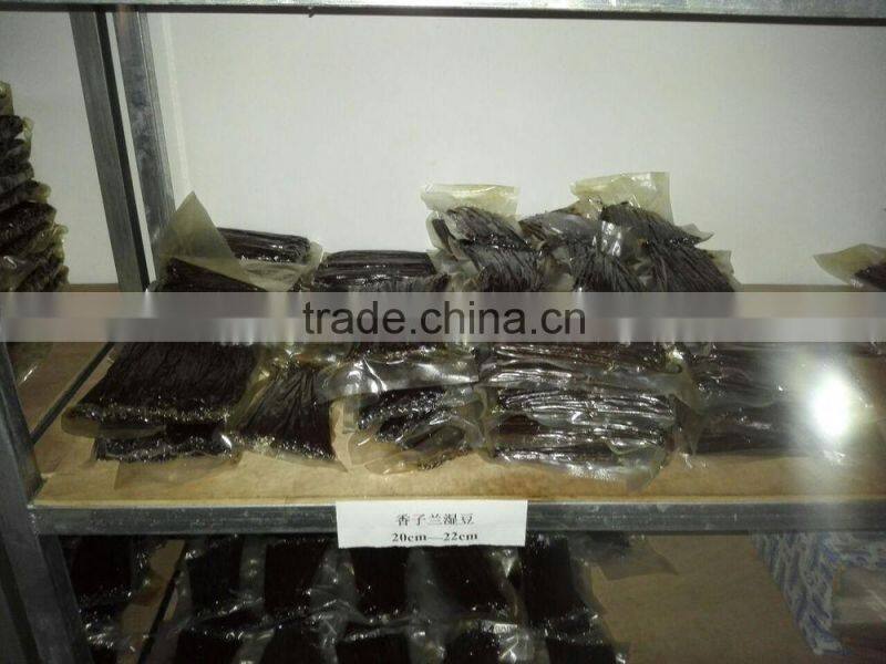 21-22cm Real Madagascar Black Vanilla Bean