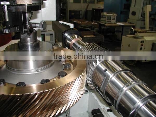 High quality non-motorized worm gear advanced