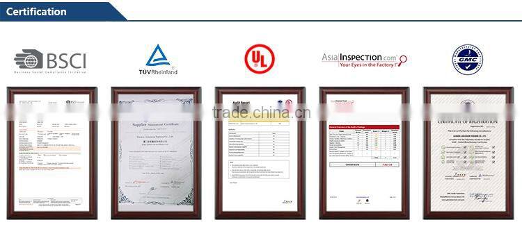 Fashion winter windproof waterproof nylon colorful jacket ski woman