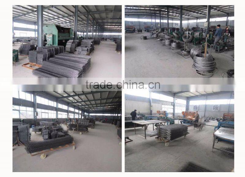 Hot selling in South africa A type layer cage for sale