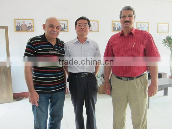 Automatic Reinforcing Wire Mesh Welding Machine/Welded Wire Mesh Panel Fence Machine