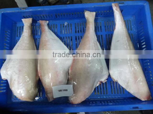 FROZEN LEATHER JACKET HGT