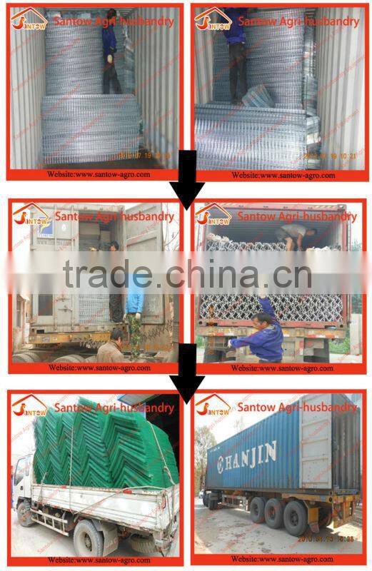 Automatic chicken egg layer cages poultry cage poultry farming equipment for sale
