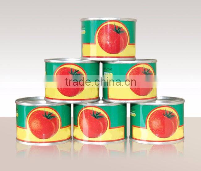Made in china OEM ODM ketchup export Saudi Arabia Canned Beads In Tomato Sauce 425g 227g Beads In Tomato Paste