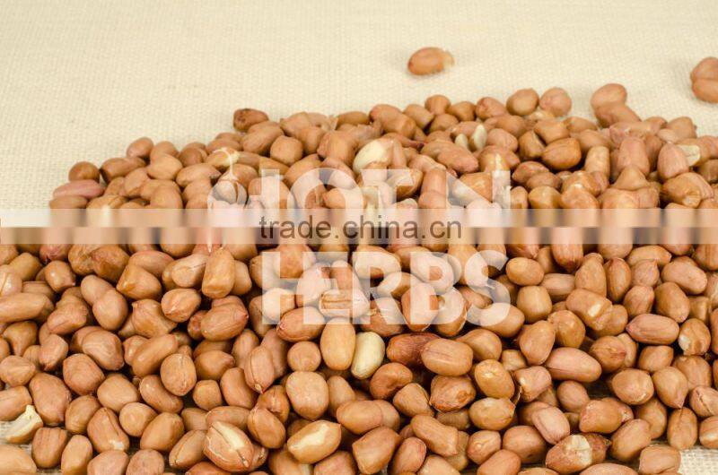 Most Trusted Dealer Supplying Organic Raw Peanuts at Leading Market Rate