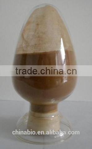 GMP Factory Supply Natural Evodia Rutaecarpa Fruit Extract