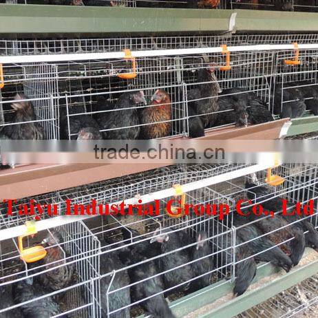 TAIYU Poultry farming nipple drinker