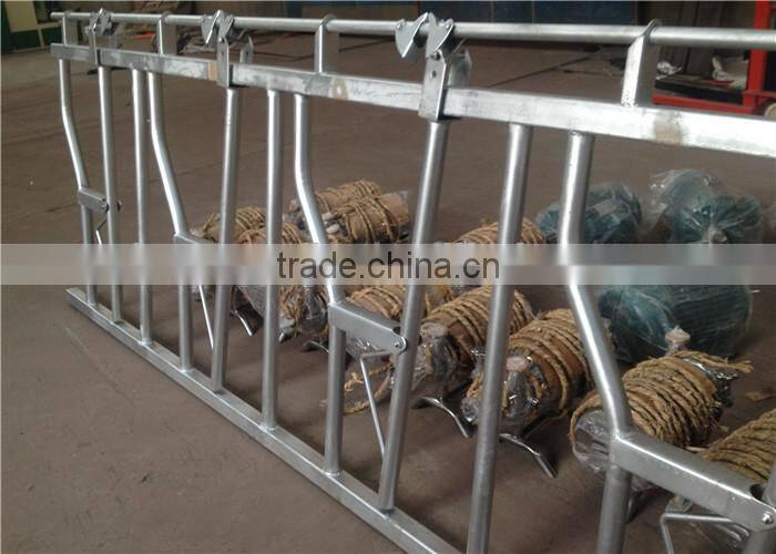 Galvanized Steel Pipe Cow Healock for 8 Cows Locking