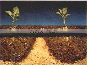 trickle irrigation lines