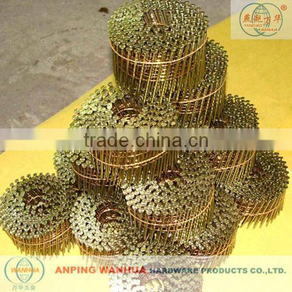 High Quality Coil Nails (ISO 9001 Manufacturer)