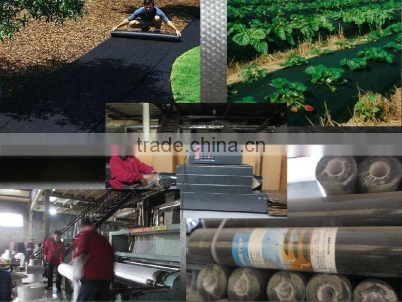 Mulch fabric PP nonwoven fabric