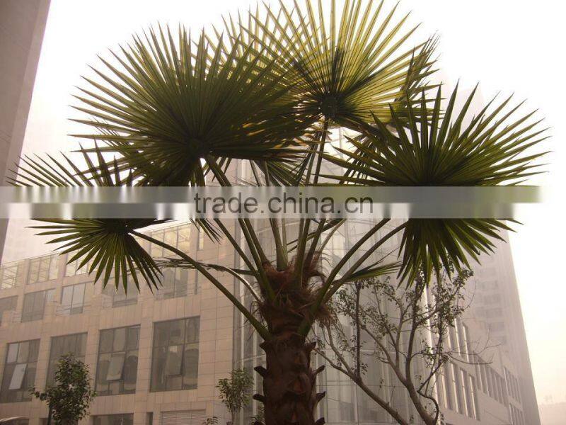 Fake Plastic Palm Large Outdoor Artificial Trees For Garden