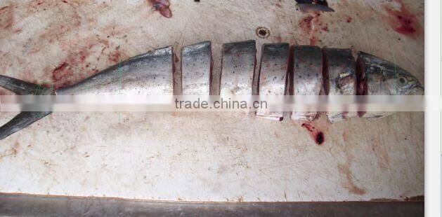 frozen Mahi Mahi portions.3-4cm ,1kg packet