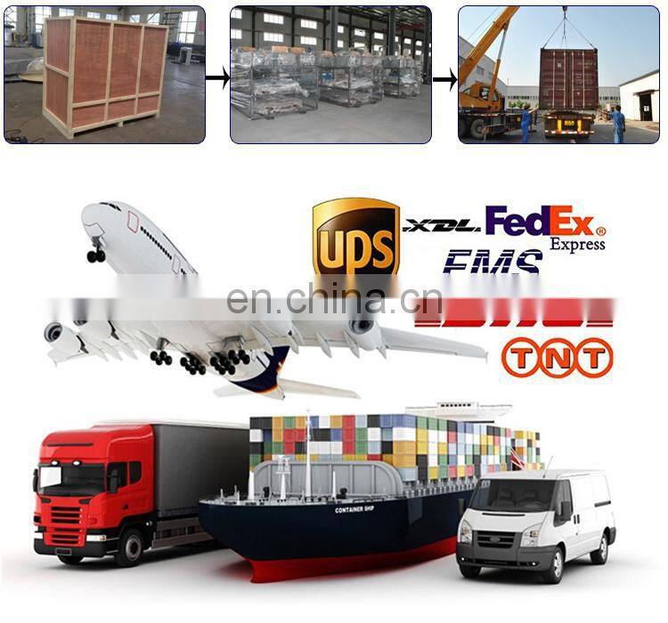 Stainless steel pine nuts empty shell remover cedar nut wind screening machine